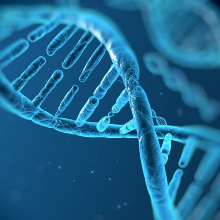 dna-molecule (1)